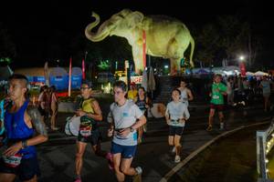 BIB: 
                            <button type="button" onclick="openModal(26552280)" class="btn btn-primary btn-sm float-right btn-popup" data-toggle="modal" data-target=".modal-high-quality">
                        <i class="fas fa-shopping-cart"></i> Add to Cart
                    </button>
                                            <button type="button" onclick="isThisMe(26552280, true)" class="btn btn-success btn-sm float-right btn-popup btn-isme hidden" data-toggle="tooltip" data-placement="bottom" title="นี่คือรูปของคุณใช่ไหม คลิกที่นี่เพื่อเอาเข้าอัลบั้ม">
                        <i class="fas fa-plus"></i> Add to album
                    </button>
                    <button type="button" onclick="isThisMe(26552280, false)" class="btn btn-warning btn-sm float-right btn-popup btn-isnotme hidden">
                        <i class="fas fa-ban"></i> Remove from album
                    </button>